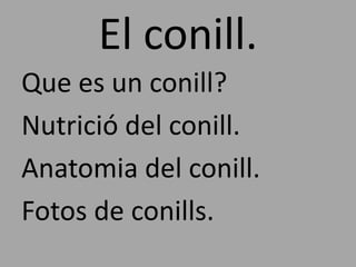El conill.
Que es un conill?
Nutrició del conill.
Anatomia del conill.
Fotos de conills.
 