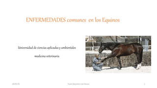 ENFERMEDADES comunes en los Equinos
Universidad de ciencias aplicadas y ambientales
medicina veterinaria
29/05/18 Paula Alejandra Leal Novoa 1
 