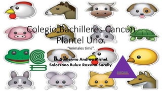 Colegio Bachilleres Cancún 
Plantel Uno. 
“Animales time”. 
Ek Guillermo Andrea Michel. 
Solorzano Bulux Roxana Sucelly. 
 