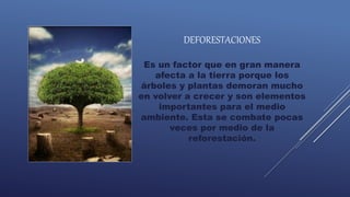 DEFORESTACIONES
Es un factor que en gran manera
afecta a la tierra porque los
árboles y plantas demoran mucho
en volver a crecer y son elementos
importantes para el medio
ambiente. Esta se combate pocas
veces por medio de la
reforestación.
 