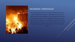 INCENDIOS FORESTALES
Se le podría denominar un tipo de deforestación con
efectos adversos masivos y duraderos al terreno. La
tierra que ha sido expuesta a incendio demora cientos
de años para volver a ser utilizable. Esta practica era
fuertemente seguida en la antigüedad para el cultivo y
generaba fuertes daños, en la actualidad esta en raras
ocasiones se usa generando de igual manera fuertes
daños.
 