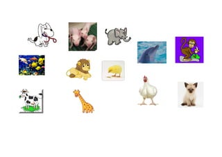 Informatica animales