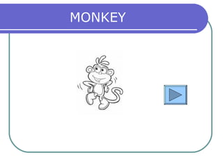 MONKEY