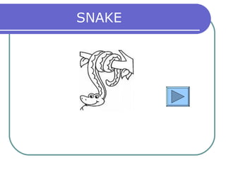 SNAKE