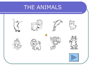 THE ANIMALS