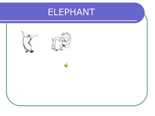 ELEPHANT
