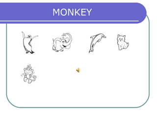 MONKEY