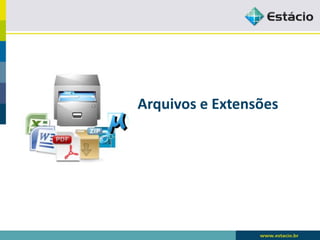 Arquivos e Extensões  