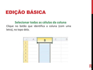 EDIÇÃO BÁSICA
20
 