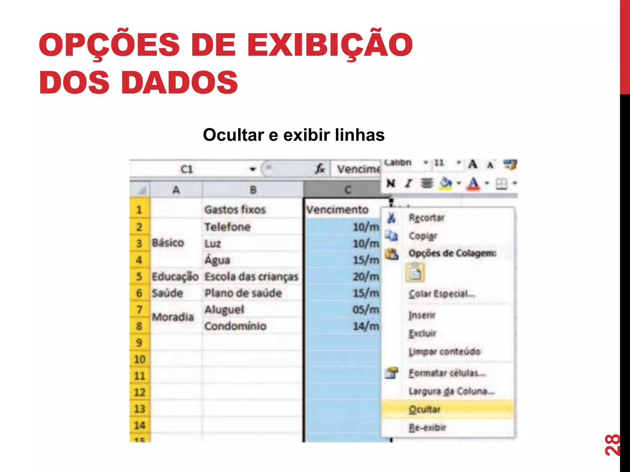 OPÇÕES DE EXIBIÇÃO
DOS DADOS
Ocultar e exibir linhas
28
 