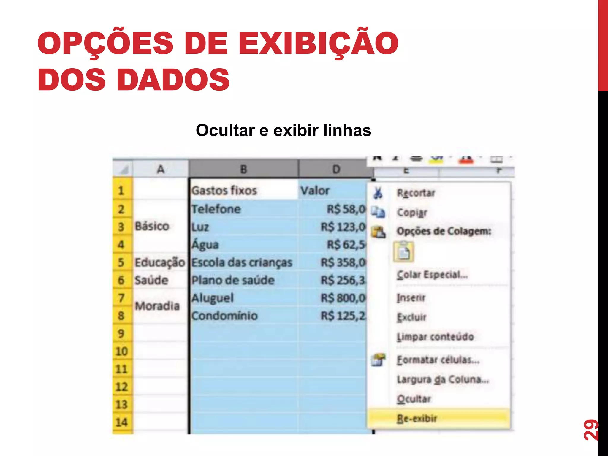 OPÇÕES DE EXIBIÇÃO
DOS DADOS
Ocultar e exibir linhas
29
 