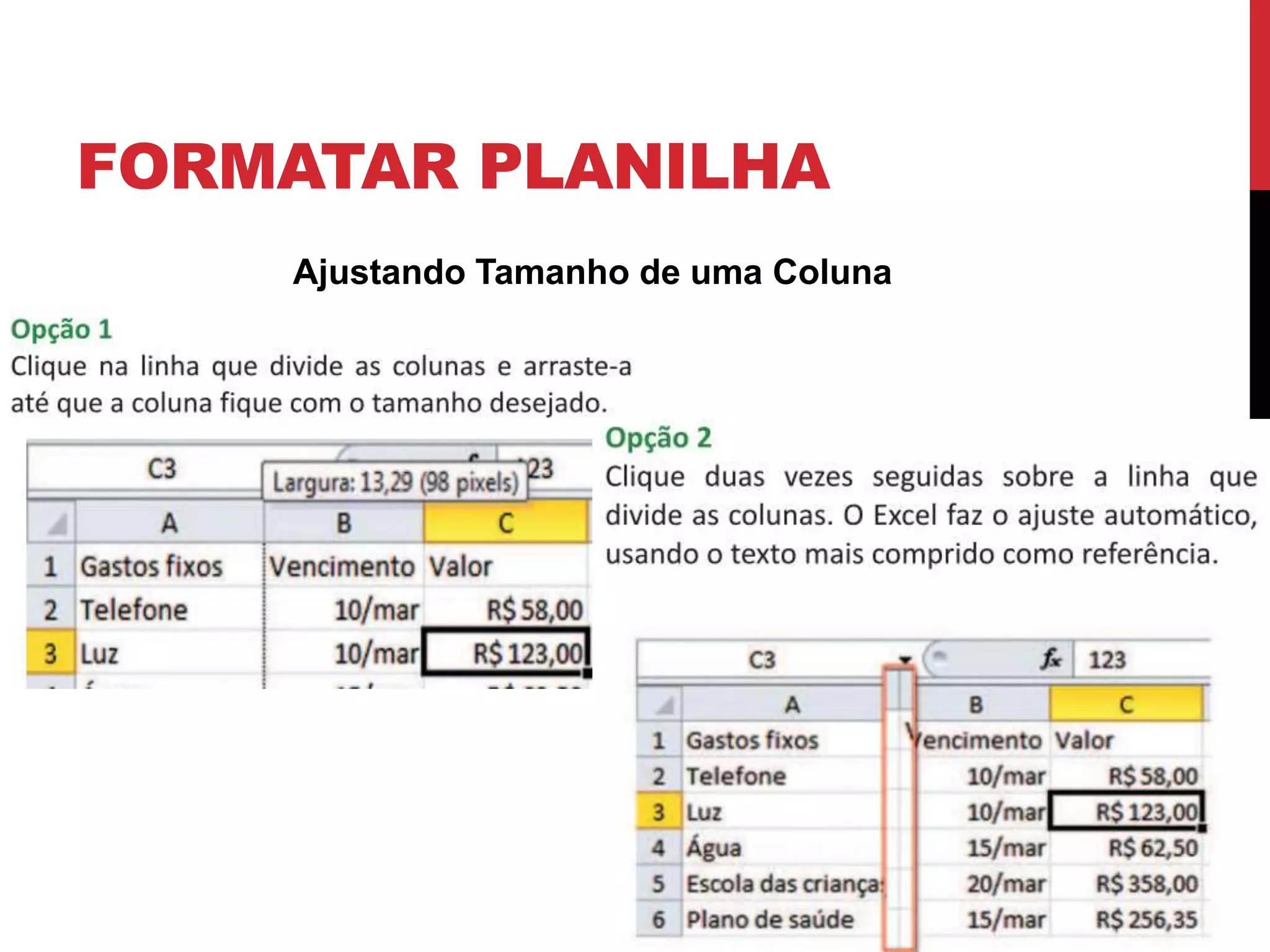 FORMATAR PLANILHA
Ajustando Tamanho de uma Coluna
7
 