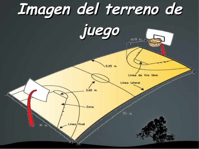 Informatica baloncesto