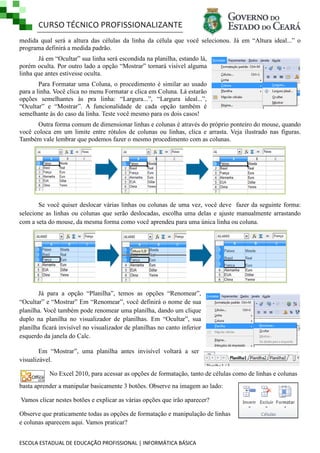 CURSO TÉCNICO PROFISSIONALIZANTE
medida qual será a altura das células da linha da célula que você selecionou. Já em ―Altura ideal...‖ o
programa definirá a medida padrão.
Já em ―Ocultar‖ sua linha será escondida na planilha, estando lá,
porém oculta. Por outro lado a opção ―Mostrar‖ tornará visível alguma
linha que antes estivesse oculta.
Para Formatar uma Coluna, o procedimento é similar ao usado
para a linha. Você clica no menu Formatar e clica em Coluna. Lá estarão
opções semelhantes às pra linha: ―Largura...‖, ―Largura ideal...‖,
―Ocultar‖ e ―Mostrar‖. A funcionalidade de cada opção também é
semelhante às do caso da linha. Teste você mesmo para os dois casos!
Outra forma comum de dimensionar linhas e colunas é através do próprio ponteiro do mouse, quando
você coloca em um limite entre rótulos de colunas ou linhas, clica e arrasta. Veja ilustrado nas figuras.
Também vale lembrar que podemos fazer o mesmo procedimento com as colunas.

Se você quiser deslocar várias linhas ou colunas de uma vez, você deve fazer da seguinte forma:
selecione as linhas ou colunas que serão deslocadas, escolha uma delas e ajuste manualmente arrastando
com a seta do mouse, da mesma forma como você aprendeu para uma única linha ou coluna.

Já para a opção ―Planilha‖, temos as opções ―Renomear‖,
―Ocultar‖ e ―Mostrar‖ Em ―Renomear‖, você definirá o nome de sua
planilha. Você também pode renomear uma planilha, dando um clique
duplo na planilha no visualizador de planilhas. Em ―Ocultar‖, sua
planilha ficará invisível no visualizador de planilhas no canto inferior
esquerdo da janela do Calc.
Em ―Mostrar‖, uma planilha antes invisível voltará a ser
visualizável.
No Excel 2010, para acessar as opções de formatação, tanto de células como de linhas e colunas
basta aprender a manipular basicamente 3 botões. Observe na imagem ao lado:
Vamos clicar nestes botões e explicar as várias opções que irão aparecer?
Observe que praticamente todas as opções de formatação e manipulação de linhas
e colunas aparecem aqui. Vamos praticar?
ESCOLA ESTADUAL DE EDUCAÇÃO PROFISSIONAL | INFORMÁTICA BÁSICA

 