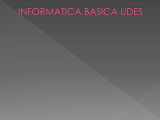 INFORMATICA BASICA UDES