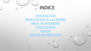 INDICE
INTRODUCCIÓN
PRESENTACIÓN DE LA CARRERA
ÁREAS DE DESEMPEÑO
CONCLUSIONES
ENSAYO
DELITOS INFORMATICOS
 