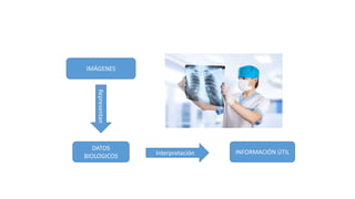 IMÁGENES
Representan
DATOS
BIOLOGICOS Interpretación INFORMACIÓN ÚTIL
 