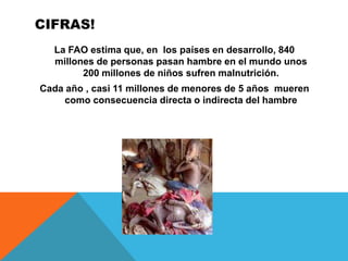 CIFRAS!
  La FAO estima que, en los países en desarrollo, 840
  millones de personas pasan hambre en el mundo unos
        200 millones de niños sufren malnutrición.
Cada año , casi 11 millones de menores de 5 años mueren
     como consecuencia directa o indirecta del hambre
 