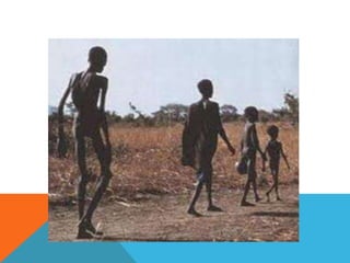 Informatica camila gomez