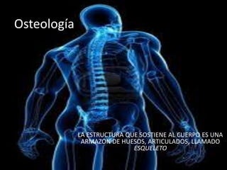 Osteología
LA ESTRUCTURA QUE SOSTIENE AL CUERPO ES UNA
ARMAZON DE HUESOS, ARTICULADOS, LLAMADO
ESQUELETO
 