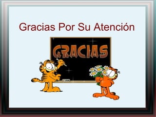 Gracias Por Su Atención
 