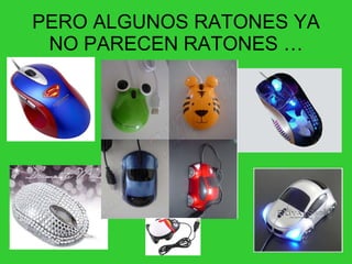 PERO ALGUNOS RATONES YA NO PARECEN RATONES … 