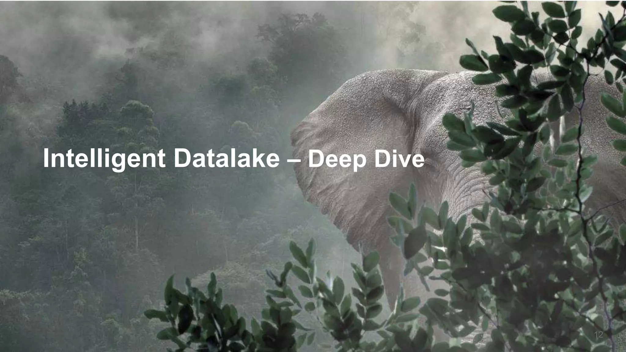 Intelligent Datalake – Deep Dive
12
 