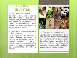  ¿Qué es la vida silvestre?
se refiere a los animales que no
han sido domesticados; pero esto
también incluye todas las especies
de plantas y organismos que
crecen y se desarrollan en un área
natural, sin haber sido interferida
por los seres humanos.
 ¿Qué es la conservación de la
vida silvestre?
Es la regulación de animales y
plantas salvajes de forma que
permita su continuidad como un
recurso natural. El término
"conservación" se refiere al manejo
y uso de los recursos naturales por
las generaciones presente y
futuras.
LA VIDA
SILVESTRE
o ¿Técnicas de conservación?
Las técnicas de conservación de la
vida silvestre tienen contrapartidas
en silvicultura y en la conservación
de suelos, aguas y paisajes. Entre
ellas se incluyen prohibiciones y
controles, restauración, subsidio,
santuarios y propiedad pública.
 