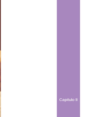 ORIENTAÇÕES CURRICULARES   Tecnologias de Informação e Comunicação   23




                                      Capítulo II
 