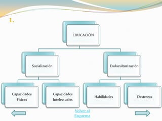 1.
                                             EDUCACIÓN




               Socialización                                        Endoculturización




 Capacidades                   Capacidades
                                                           Habilidades              Destrezas
     Físicas                   Intelectuales


                                               Volver al
                                               Esquema
 