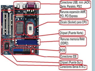 COMPONENTES DEL COMPUTADOR
 