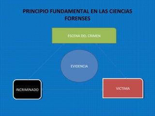 PRINCIPIO FUNDAMENTAL EN LAS CIENCIAS
FORENSES
ESCENA DEL CRIMEN
INCRIMINADOINCRIMINADO VICTIMAVICTIMA
EVIDENCIA
 