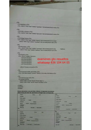 guia informatica Guanajuato modulo 22 nuples