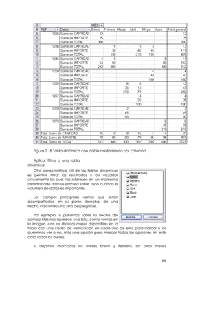 Figura 2.18 Tabla dinámica con doble anidamiento por columna

   Aplicar filtros a una tabla
dinámica:
   Otra característica útil de las tablas dinámicas
es permitir filtrar los resultados y así visualizar
únicamente los que nos interesen en un momento
determinado. Esto se emplea sobre todo cuando el
volumen de datos es importante.

    Los campos principales vemos que están
acompañados, en su parte derecha, de una
flecha indicando una lista desplegable.

    Por ejemplo, si pulsamos sobre la flecha del
campo Mes nos aparece una lista, como vemos en
la imagen, con los distintos meses disponibles en la
tabla con una casilla de verificación en cada uno de ellos para indicar si los
queremos ver o no, más una opción para marcar todas las opciones en este
caso todos los meses.

   Si dejamos marcados los meses Enero y Febrero, los otros meses



                                                                           88
 
