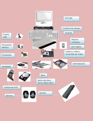 Pantalla 
Cubierta de bisagra 
Teclado 
Puerto 
USB 
Procesador 
térmico 
Reposa 
muñecas 
Mini tarjeta 
Procesador 
Tarjeta y video y 
ensamble de video 
Motherboard 
Vent ilador 
Base 
Altavoz 
Bahía del disco 
duro y disco duro 
Batería 
Unidad de DVD 
