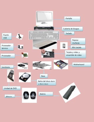 Pantalla
Cubierta de bisagra
Teclado
Puerto
USB
Procesador
térmico
Reposa
muñecas
Mini tarjeta
Procesador
Tarjeta y video y
ensamble de video
Motherboard
Ventilador
Base
Altavoz
Bahía del disco duro
y disco duro
Batería
Unidad de DVD