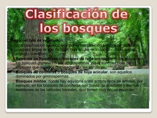 Según el tipo de vegetación:
Una clasificación se establece por la composición predominante de los
bosques según el tipo de hoja: hoja ancha, acicular (coníferas como
el pino), o ambos.
 Bosques de frondosas o bosques de hoja ancha, como las selvas, son
los bosques dominados por angiospermas y que son mas ricos de
especies que aquellos dominados por las coníferas.
 Bosques de coníferas o bosques de hoja acicular, son aquellos
dominados por gimnospermas.
 Bosques mixtos, donde hay equilibrio entre ambos tipos de árboles, por
ejemplo, en los bosques de coníferas con zonas de abedules y álamos
temblones de las latitudes boreales, que tienen muy pocas especies.
 