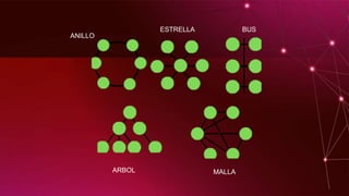 ANILLO
ESTRELLA BUS
MALLAARBOL
 