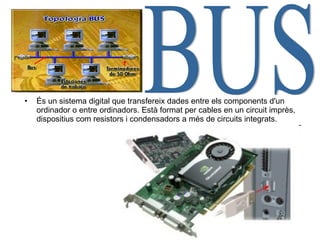 És un sistema digital que transfereix dades entre els components d'un ordinador o entre ordinadors.   Està format per cables en un circuit imprès, dispositius com resistors i condensadors a més de circuits integrats.   BUS 
