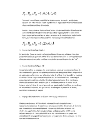 Tomando como 1 la permeabilidad al potasio por ser la mayor y las demás en
    relación con esta. Por esta razón, el potencial de reposo de la membrana se acerca
    al potencial de equilibrio del potasio.

    Por otra parte, durante el potencial de acción, las permeabilidades de sodio varían,
    aumentando considerablemente con respecto al reposo y también a los demás
    iones, razón por la que el Vm se acerca al potencial de equilibrio del sodio. Por lo
    tanto, durante el potencial de acción los índices de permeabilidad serian:




3. Interpretación de la gráfica 2.1

En la anterior figura se muestra el potencial de acción de una célula nerviosa. Los
postpotenciales que aparecen al final de la fase de repolarizacion se corresponden con
el desfase existente entre las modificaciones de las permeabilidades del Na + y K +.


4. Interpretación de la figura 2.2

Para analizar cómo se propagan los potenciales de acción, al considerarse el caso de
una fibra nerviosa, para el cual podemos suponer que la región de la fibra en potencial
de acción, es mucho menor que la longitud total de la fibra. En la figura 2.2 se muestra
su distribución de carga cerca de la región activa en un instante dado. Dicha región
presenta una inversión de polaridad debido a la despolarización de la membrana,
mientras que la zona de la derecha (que se hallaba en potencial de acción en un
instante anterior) tiene de nuevo la membrana repolarizada. Por último, la membrana
de la zona de su izquierda, a la que todavía no ha llegado el potencial de acción,
permanece en estado de reposo.


5. Explique detalladamente la relación entre ECG y ciclo cardiaco


El electrocardiograma (ECG) refleja la propagación de la despolarización y
repolarizacion eléctricas de las diversas cámaras contráctiles del corazón. El termino
ECG esta específicamente reservado al caso de captación de la actividad con
electrodos superficiales. Para estudiar el ciclo cardiaco se utiliza el ECG como
referencia temporal. Este puede dividirse en dos componentes principales, uno
asociado con la propagación de la excitación y recuperación de las aurículas, y el otro
con la actividad ventricular.
 