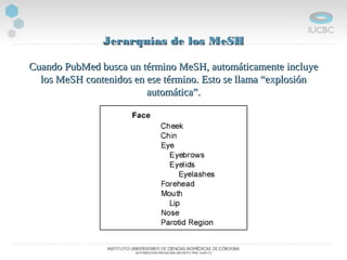 Jerarquías de los MeSHJerarquías de los MeSH
Cuando PubMed busca un término MeSH, automáticamenteCuando PubMed busca un término MeSH, automáticamente incluyeincluye
los MeSH contenidos en ese término. Esto se llama “explosiónlos MeSH contenidos en ese término. Esto se llama “explosión
automática”.automática”.
 