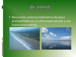 Recorrerás  extensos kilómetros de playa acompañado con un clima espectacular y una buena brisa marina.PLAYAS 