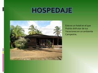 HOSPEDAJEEste es un hotel en el que Podrás disfrutar de tus Vacaciones en un ambiente Campestre.
