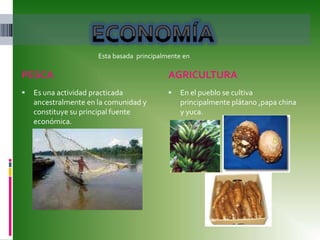 PESCA AGRICULTURA Es una actividad practicada ancestralmente en la comunidad y constituye su principal fuente económica.En el pueblo se cultiva principalmente plátano ,papa china y yuca.ECONOMÍA Esta basada  principalmente en