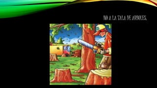 NO A LA TALA DE ARBOLES.