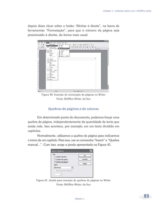 Unidade 3 – Editando textos com o BrOffice writer




depois disso clicar sobre o botão “Alinhar à direita”, na barra de
ferramentas “Formatação”, para que o número da página seja
posicionado à direita, da forma mais usual.




          Figura 40: Inserção de numeração de páginas no Writer
                       Fonte: BrOffice Writer, da Sun



                Quebras de páginas e de colunas

       Em determinado ponto do documento, podemos forçar uma
quebra de página, independentemente da quantidade de texto que
exista nela. Isso acontece, por exemplo, em um texto dividido em
capítulos.
        Normalmente, utilizamos a quebra de página para indicarmos
o início de um capítulo. Para isso, use os comandos “Inserir” e “Quebra
manual...”. Com isso, surge a janela apresentada na Figura 41.




      Figura 41: Janela para inserção de quebras de páginas no Writer
                       Fonte: BrOffice Writer, da Sun




                                       Módulo 1
                                                                                                       83
 