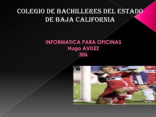 Colegio de bachilleres del estado de baja california INFORMATICA PARA OFICINASHugo AVILEZ306 