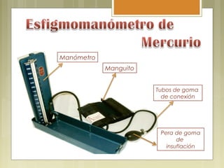 Manguito
Manómetro
Pera de goma
de
insuflación
Tubos de goma
de conexión
 