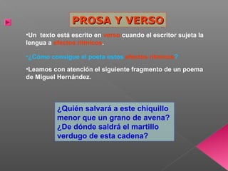 PROSA Y VERSO
•Un texto está escrito en verso cuando el escritor sujeta la
lengua a efectos rítmicos.
•¿Cómo consigue el poeta estos efectos rítmicos?
•Leamos con atención el siguiente fragmento de un poema
de Miguel Hernández.

¿Quién salvará a este chiquillo
menor que un grano de avena?
¿De dónde saldrá el martillo
verdugo de esta cadena?

 