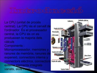 La CPU (unitat de procés central). La CPU és el cervell de l'ordinador. És el processador central, la CPU és on es produeixen la majoria dels càlculs Components : Microprocessador, memòries y ranures de memòria, ranures de expansió, connectors interns y connectors elèctrics, connectors externs elements integrats variats, slots i rom  